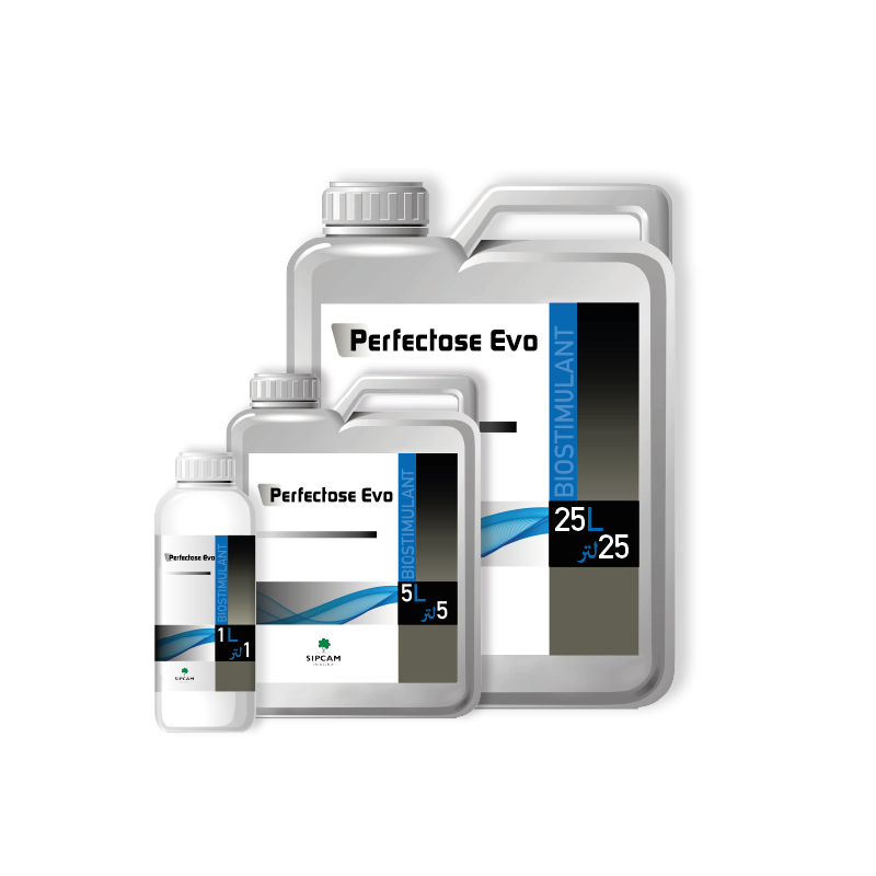 Perfectose Evo- Sipcam Algérie 